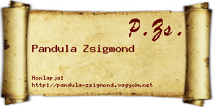 Pandula Zsigmond névjegykártya