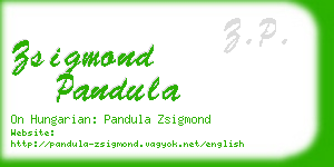 zsigmond pandula business card